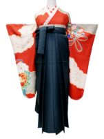 赤地に雲取、花薬玉の小振袖【hak17】