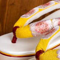 白地に黄色い鼻緒、桜絵の草履【zor035】